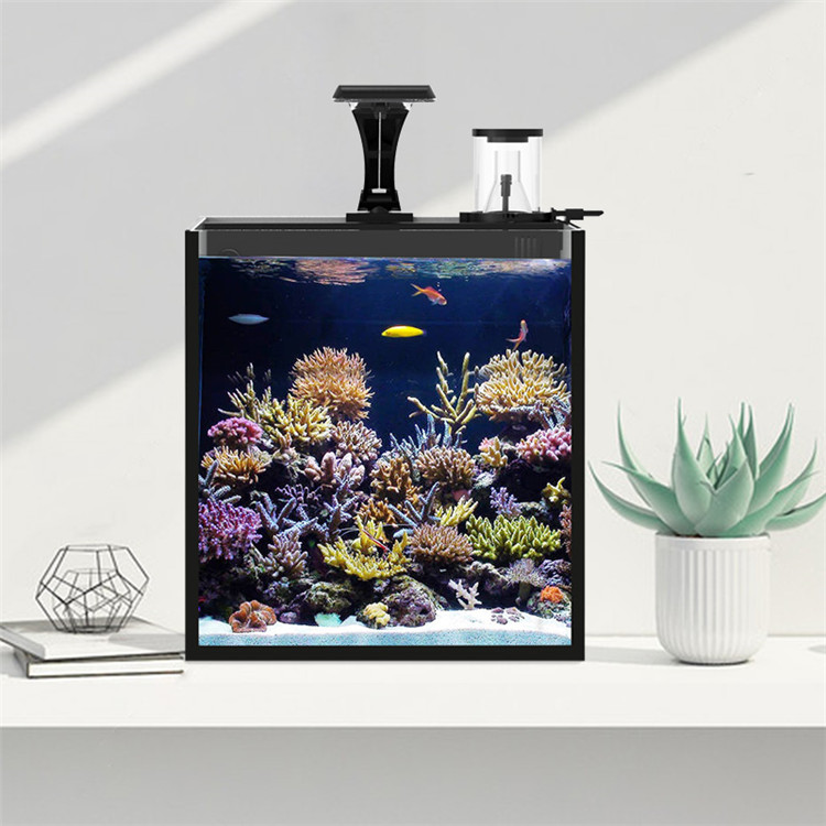 skynuo Ultra Clear Glass Mini  - Aquarium Marine Clearwater ulasan dan harga