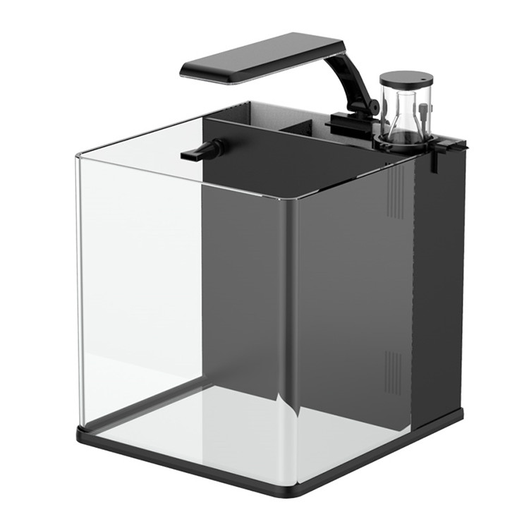 Latest Model Clear Glass Mini  - Aquarium Marine Clearwater ulasan dan harga
