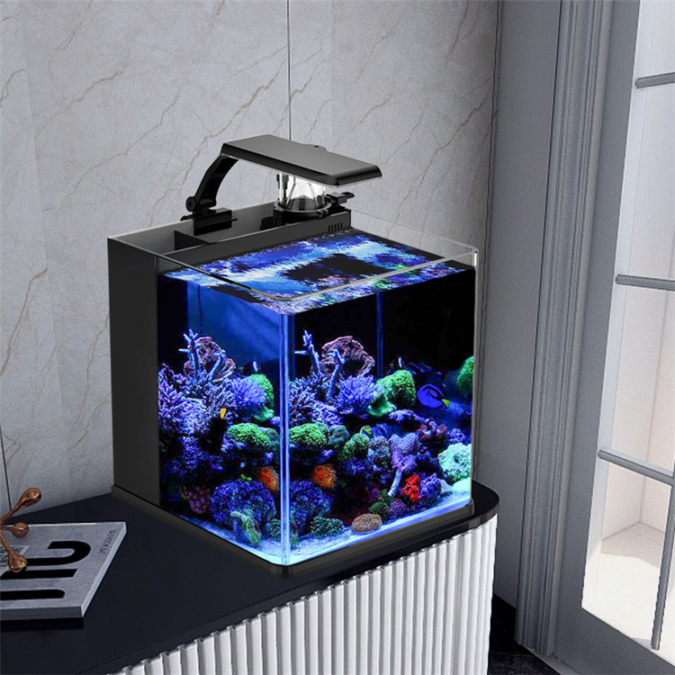 Latest Model Clear Glass Mini  - Aquarium Marine Clearwater ulasan dan harga
