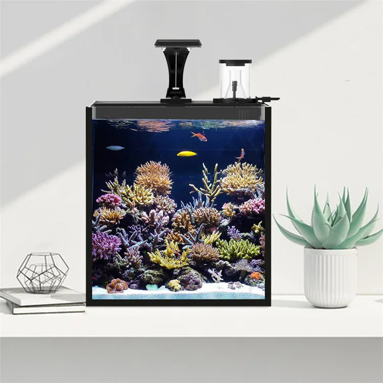 Latest Model Clear Glass Mini  - Aquarium Marine Clearwater ulasan dan harga