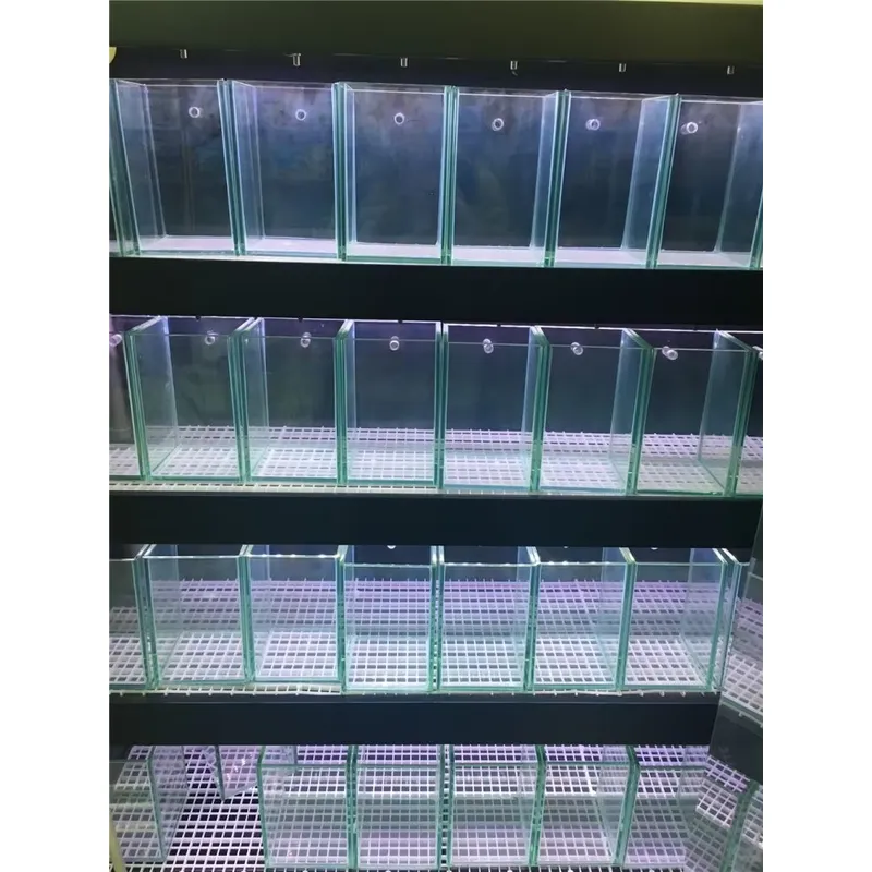 Ultra Clear Glass Aquarium Fis - Aquarium Marine Clearwater ulasan dan harga