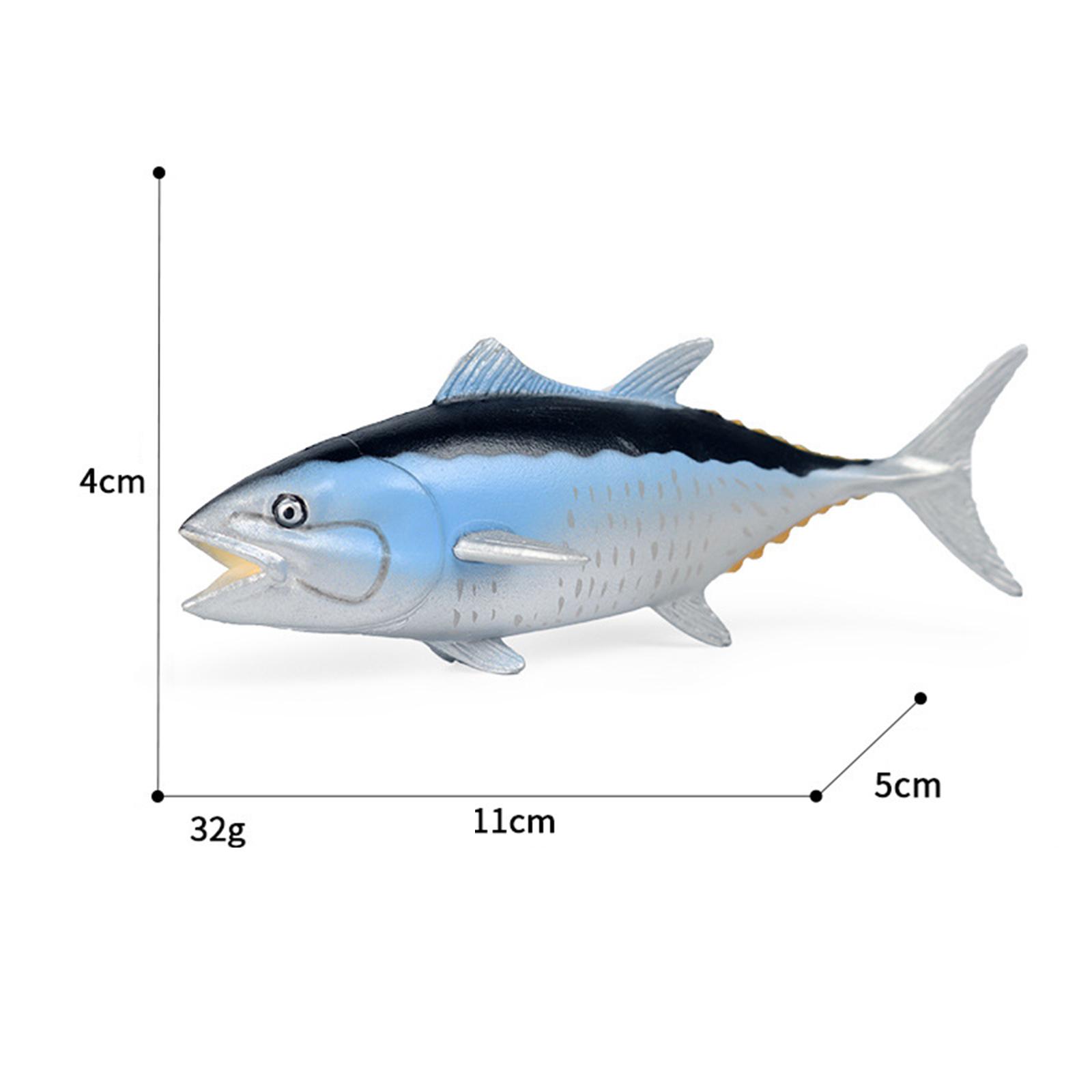 Children Simulation Science Ma - Marine Zoo ulasan dan harga