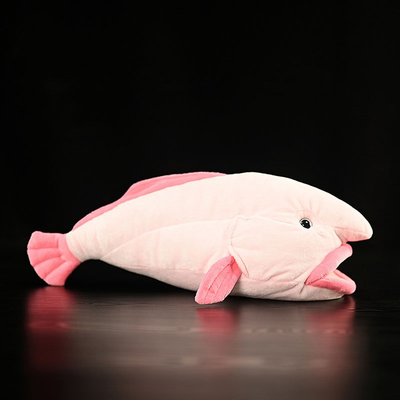 Simulated Animal Blobfish Sea  - Aquarium And Marine Museum ulasan dan harga