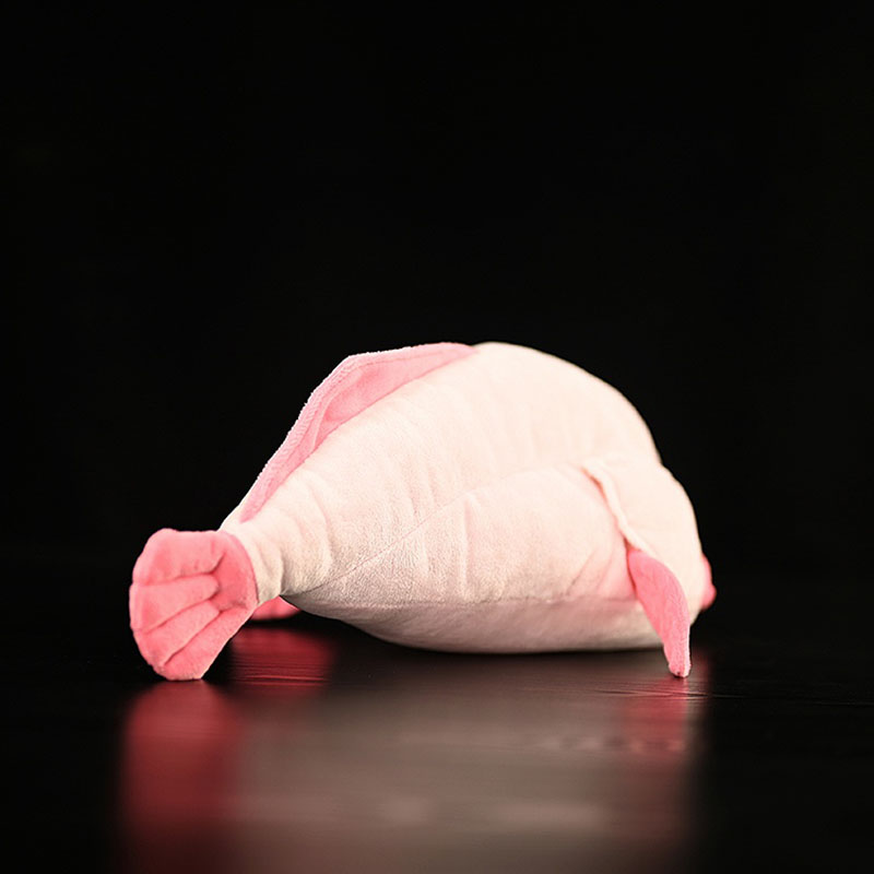 Simulated Animal Blobfish Sea  - Aquarium And Marine Museum ulasan dan harga