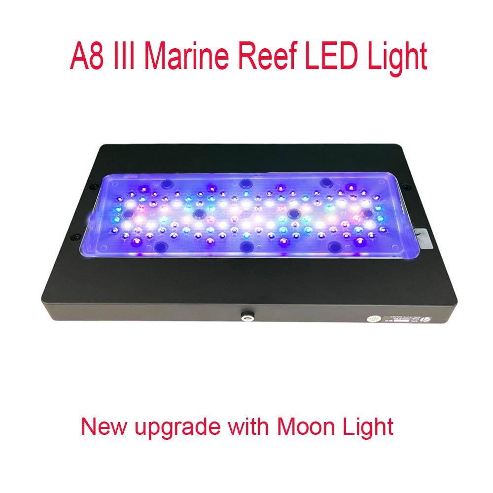 A8 III Moon light Powerful Mar - Aquarium Marine Fishes ulasan dan harga