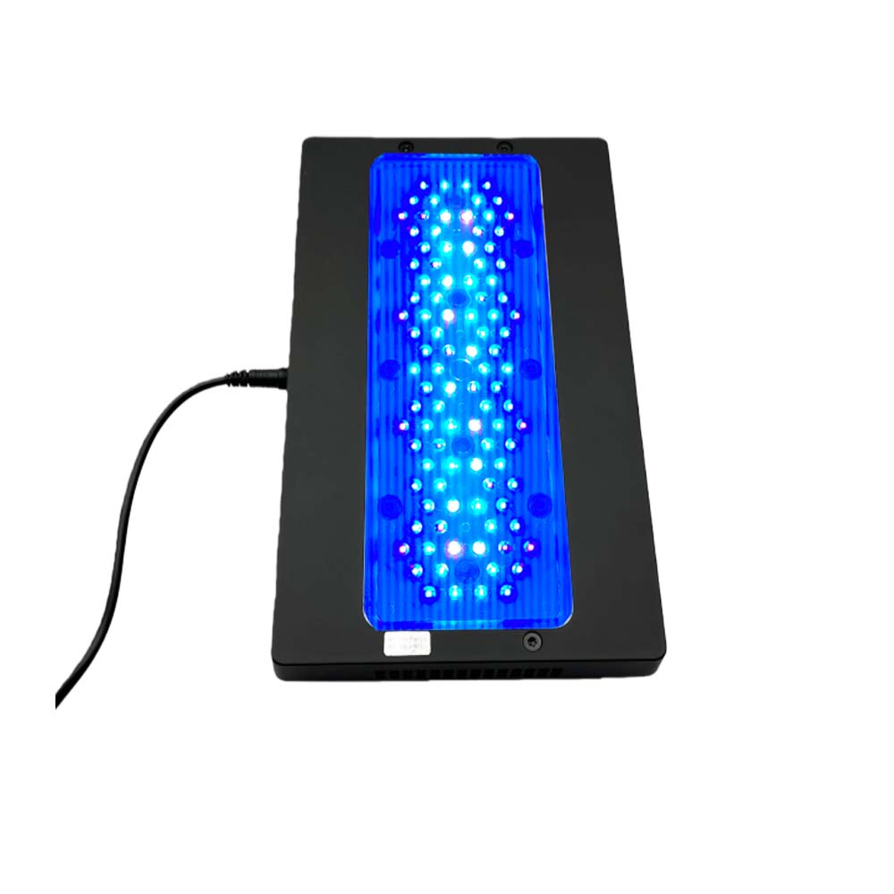 A8 III Moon light Powerful Mar - Aquarium Marine Fishes ulasan dan harga