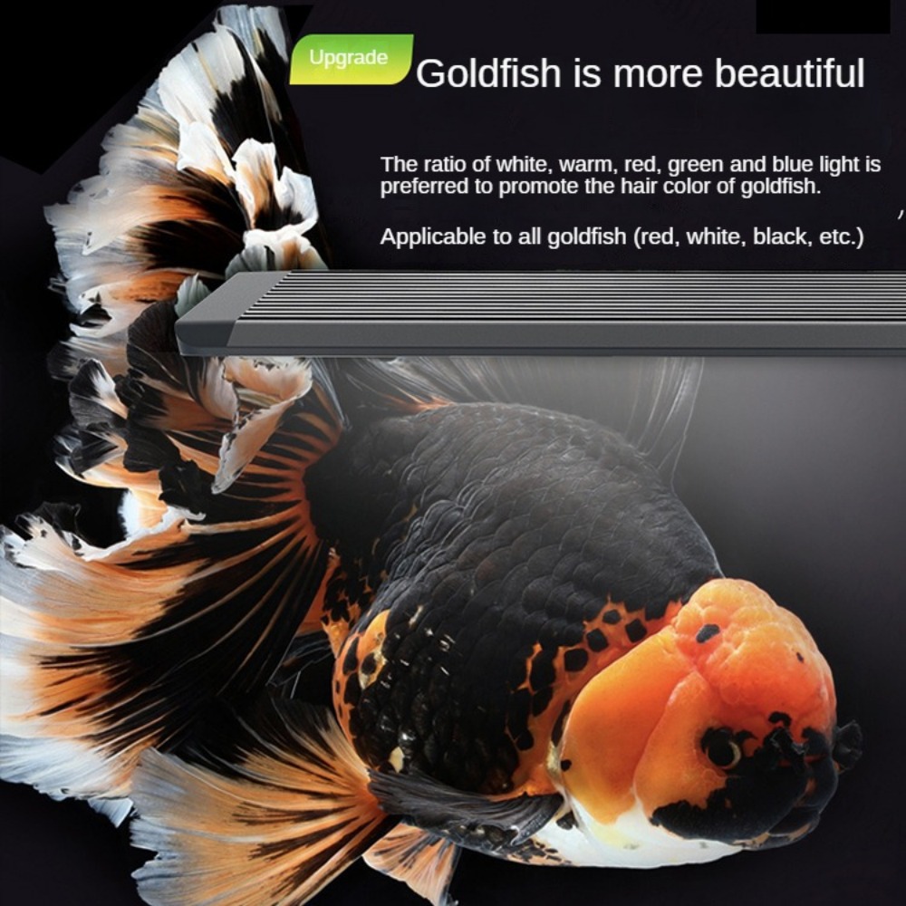Aquarium Light With Optical Le - Aquarium Marine Clearwater ulasan dan harga