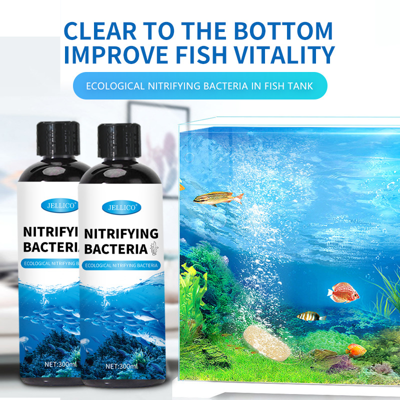 300ml Nitrifying Bacteria Aqua - Aquarium Marine Clearwater ulasan dan harga