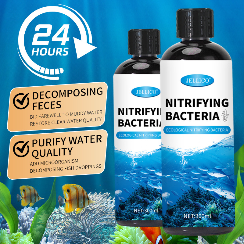 300ml Nitrifying Bacteria Aqua - Aquarium Marine Clearwater ulasan dan harga