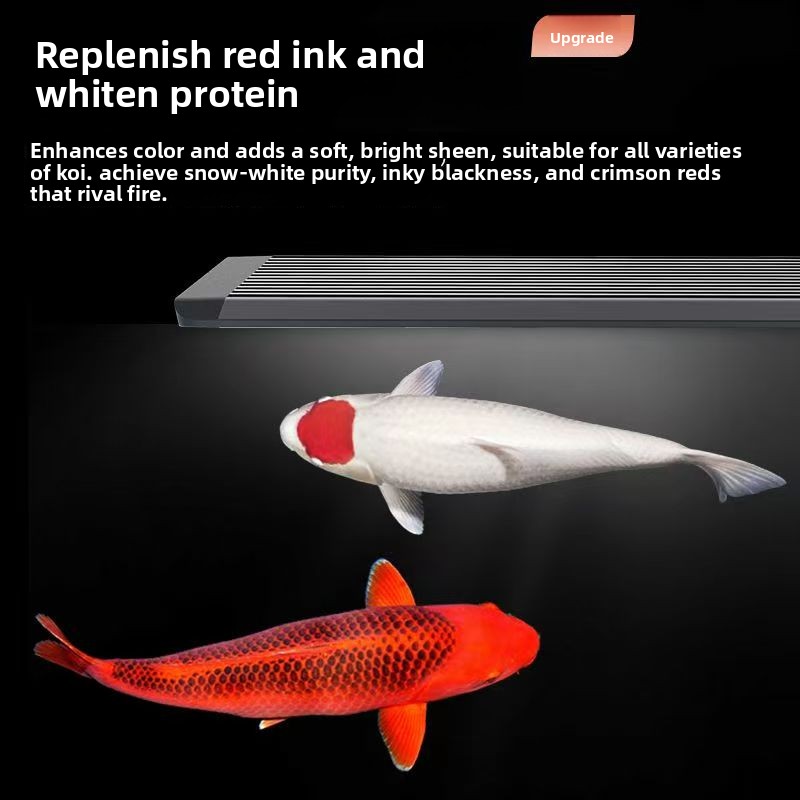 LED Aquarium Light for Fish Ta - Aquarium Marine Clearwater ulasan dan harga