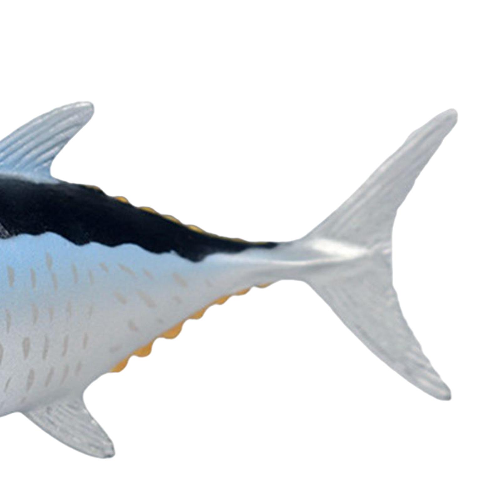 Simulation Marine Animal Model - Marine Zoo ulasan dan harga