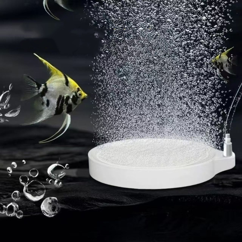 Nano Disc Air Stone Oxygen Aer - Marine Aquarium Nano ulasan dan harga